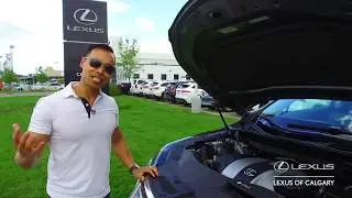 Lexus of Calgary - CAR OF THE WEEK (EPS 124 - JUNE 24 2019)