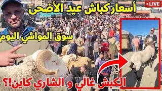 🔴 سوق المواشي اليوم : اسعار كباش عيد الأضحى 2025 .  الشاري موجود بكثرة رغم ان السوق طالع شوية  !؟ 🤔