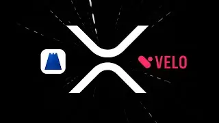 XRP, XDC, SHX & VELO QUICK UPDATE | PREPARE FOR ALT SEASON‼️