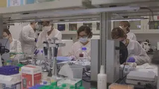 Microcystin Test