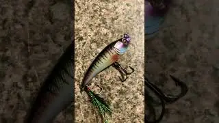 6TH SENSE HYPERJERK FINESSE JERKBAIT #shorts #finesse #jerkbait #tightlines #bigbites #bassfishing