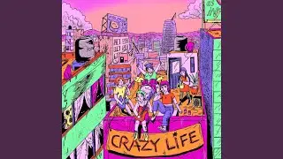 Crazy Life