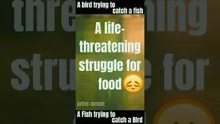 🐦Life Risk for Food😱 #reels #viralreels #trending #ytshorts #birds #fish #animals