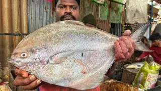 KASIMEDU 🔥 SPEED SELVAM | BIG SIZE BLACK POMFRET FISH CUTTING VIDEO | 4K VIDEO | KM FISH CUTTING 