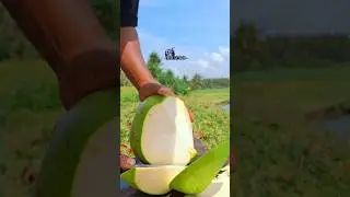 fantastic coconut peeling asmr #shorts