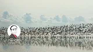 Hybrid Cloud: Easing the Pain of Migration
