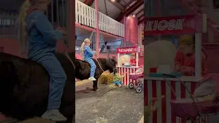 Playtime with our ponies😍 #shortsvideo #pony #horse