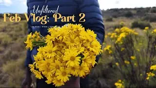Unfiltered: February Vlog Part 2: Lake Ellis | Church | Snapp Social