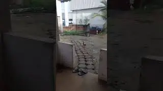 11 de janeiro de 2026