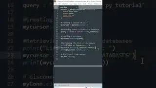 MySQL Magic by Python: Creating Databases Demystified | 