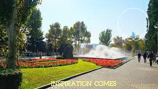 Niki Smith - Inspiration Comes