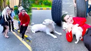 The Puppy Is About To Be Run Over By A Tire! Please Help It!#Clown #Angel #Blackangel