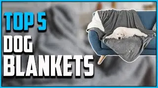 Top 5: Best Dog Blankets 2021