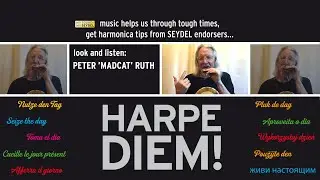 Harpe Diem! 'Crossing the great divide' with Peter Matcat Ruth US - SEYDEL