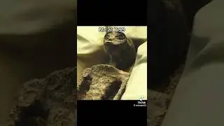 me at 7:99 #funny #meme #memes