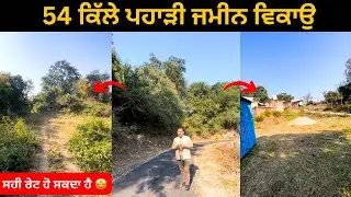 2 ਪਾਸੇ ਰਸਤਾ, 54 ਕਿੱਲੇ ਵਿਕਾਉ 🤩 land for sale in hoshiarpur Punjabvideo: 254