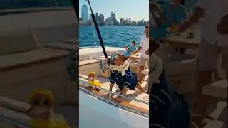 Dog & Cat Go Luxury Fishing on a NYC Yacht! 🐶🐱 Funny & Cute Dogs and Cats #dogsandcats