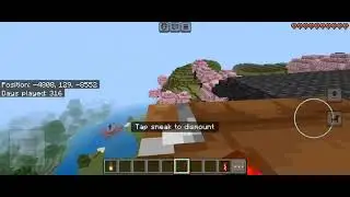 I built a cherry grove cliff base😶
