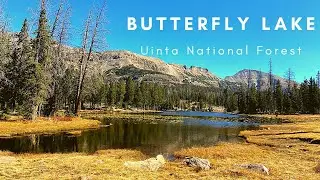 Butterfly Lake - Uinta National Forest - High Uinta Wilderness