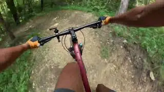 Flying pig right side at turkey run park silo bike park Louisville by.