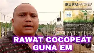Rawat Cocopeat Atau Media Tanaman Lain Guna EM