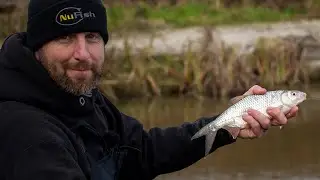 Roach Fishing With Rich Wilson