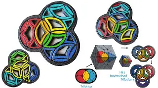 3 Intertwined Trilotica-s, another 2D model.