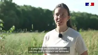 Manque d'eau : les Solutions fond&eacute;es sur la Nature