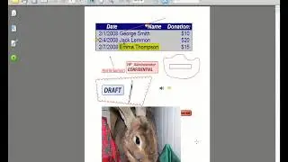 Adobe Acrobat 8 Training - Editing Security Policies