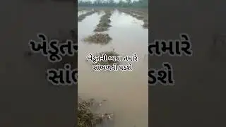 કમોસમી વરસાદે ખેડૂતોને મરણતોલ ફટકો | FarmerDistress | UnseasonalRain | Khedut