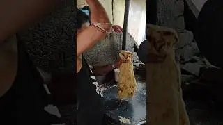 world famous phonepe parotta l #shorts