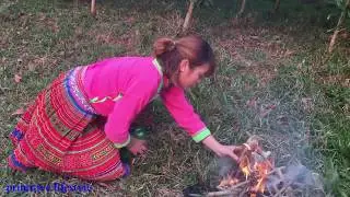 #primitivelifestyle   Primitive Life: Enthic girl robbed by eggs from forest people