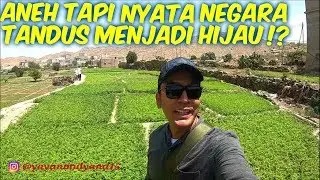 ANEH TAPI NYATA ARAB SAUDI NEGARA TANDUS MENJADI HIJAU!?