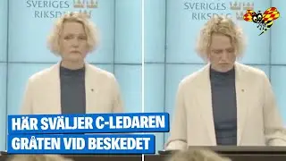 Anna-Karin Hatt (C) avg&aring;r &ndash; h&ouml;r k&auml;nslofyllda talet