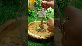 Mala's apple crush mocktail #shorts