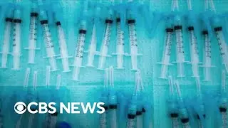 Study finds COVID-19 vaccines don't affect fertility in either men or women