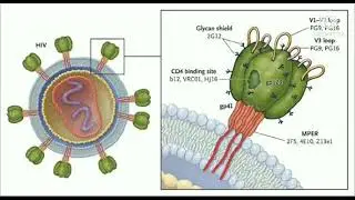 HIV Vaccine Explained...👍