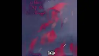 Camm 2x-Voice of the Struggle