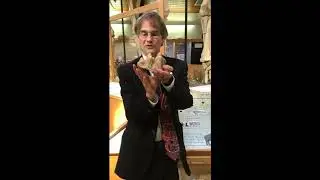 Tate Talk- Mammoth, Mastodon & Elephant Teeth