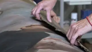 Restorers are on a roll...