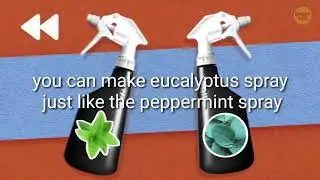 Tips for Dengue Prevention