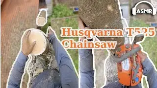 POV Tree Cutting | Husqvarna t525 Chainsaw Runs Out of Fuel ASMR