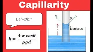 Capillarity and derivation for capillary rise and capillary depression