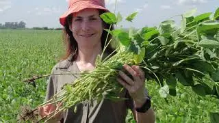 Innovation in AgriFood, Science and International Collaboration