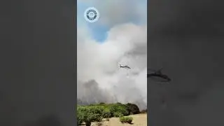 Hawaii fires huge damages historic lahaina town destroyed by maui wildfires |  InfluencerSpot