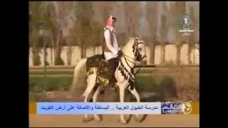 مدرسة الخيول العربية.. البساطة والاصالة على ارض الكويت
