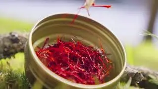 Super Negin Saffron - Highly Concentrated All-Natural Saffron Spice Threads for cooking and infusion
