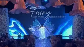 Fairly led wings by One Fun Creative