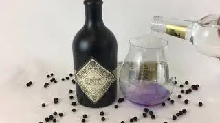 The Illusionist - Dry Gin