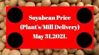 Commodities Prices May 31,2021 #Shorts #Soyabean #Ncdex सोयाबीन futures में नरमी Price June @6861/Q.